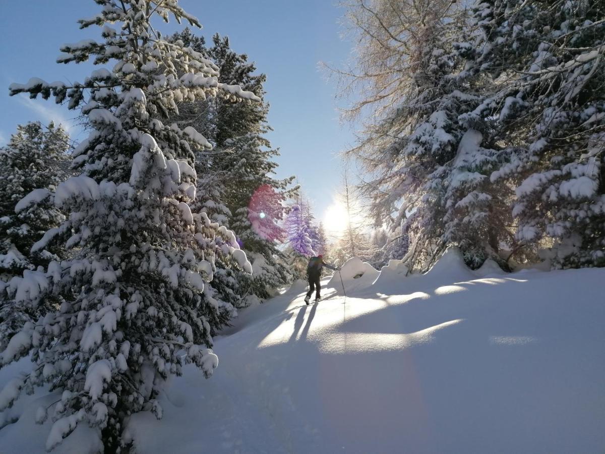 Dolomites B&B - Suites, Apartments And Spa Tesero Εξωτερικό φωτογραφία