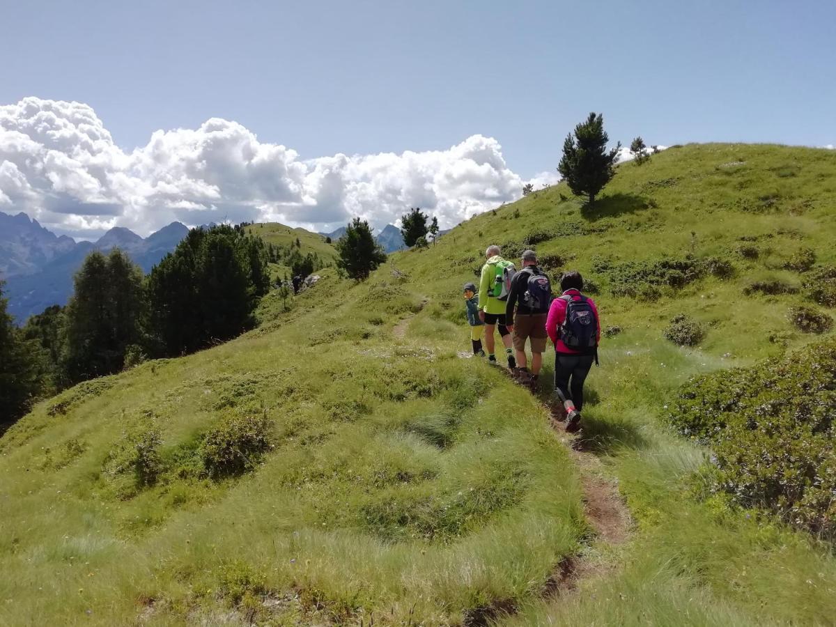 Dolomites B&B - Suites, Apartments And Spa Tesero Εξωτερικό φωτογραφία