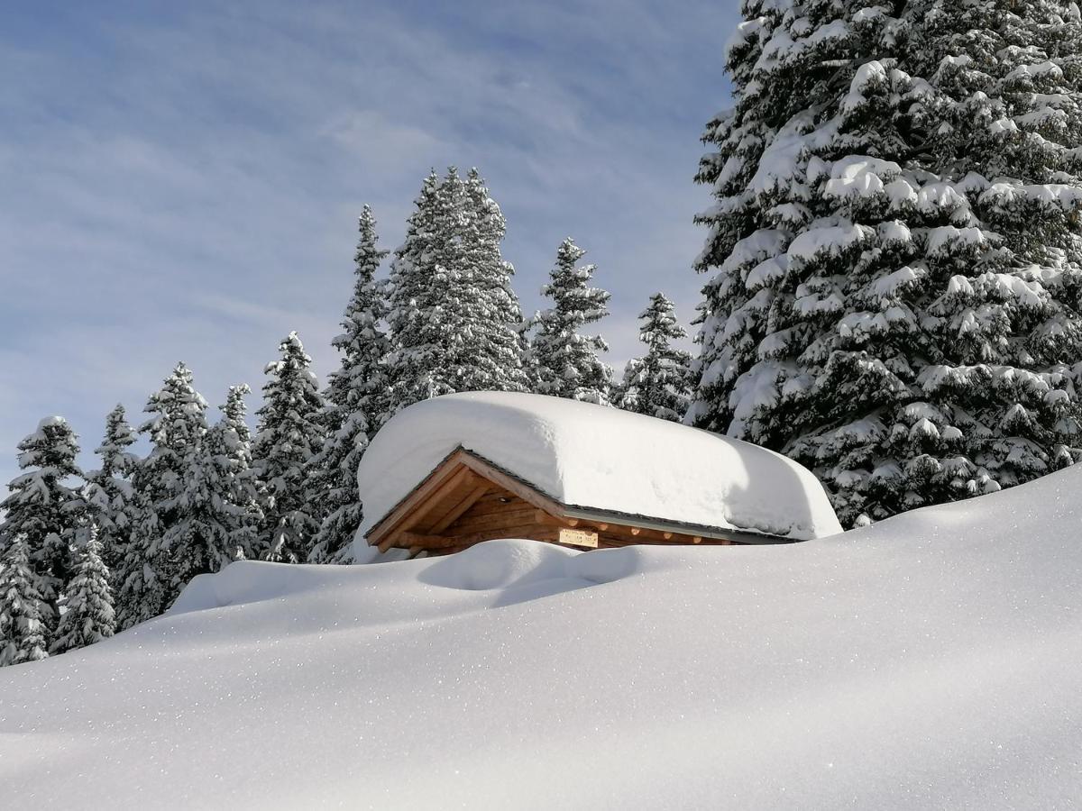 Dolomites B&B - Suites, Apartments And Spa Tesero Εξωτερικό φωτογραφία