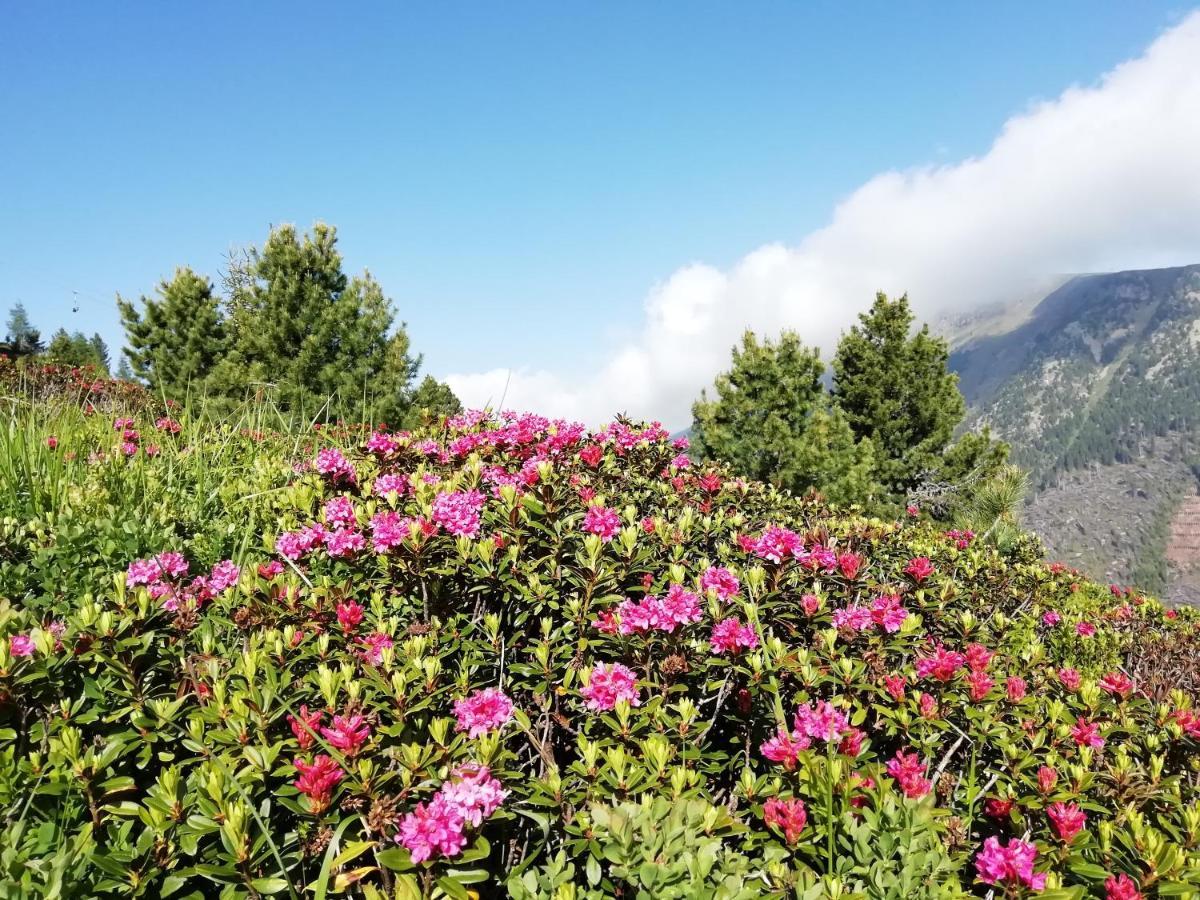 Dolomites B&B - Suites, Apartments And Spa Tesero Εξωτερικό φωτογραφία