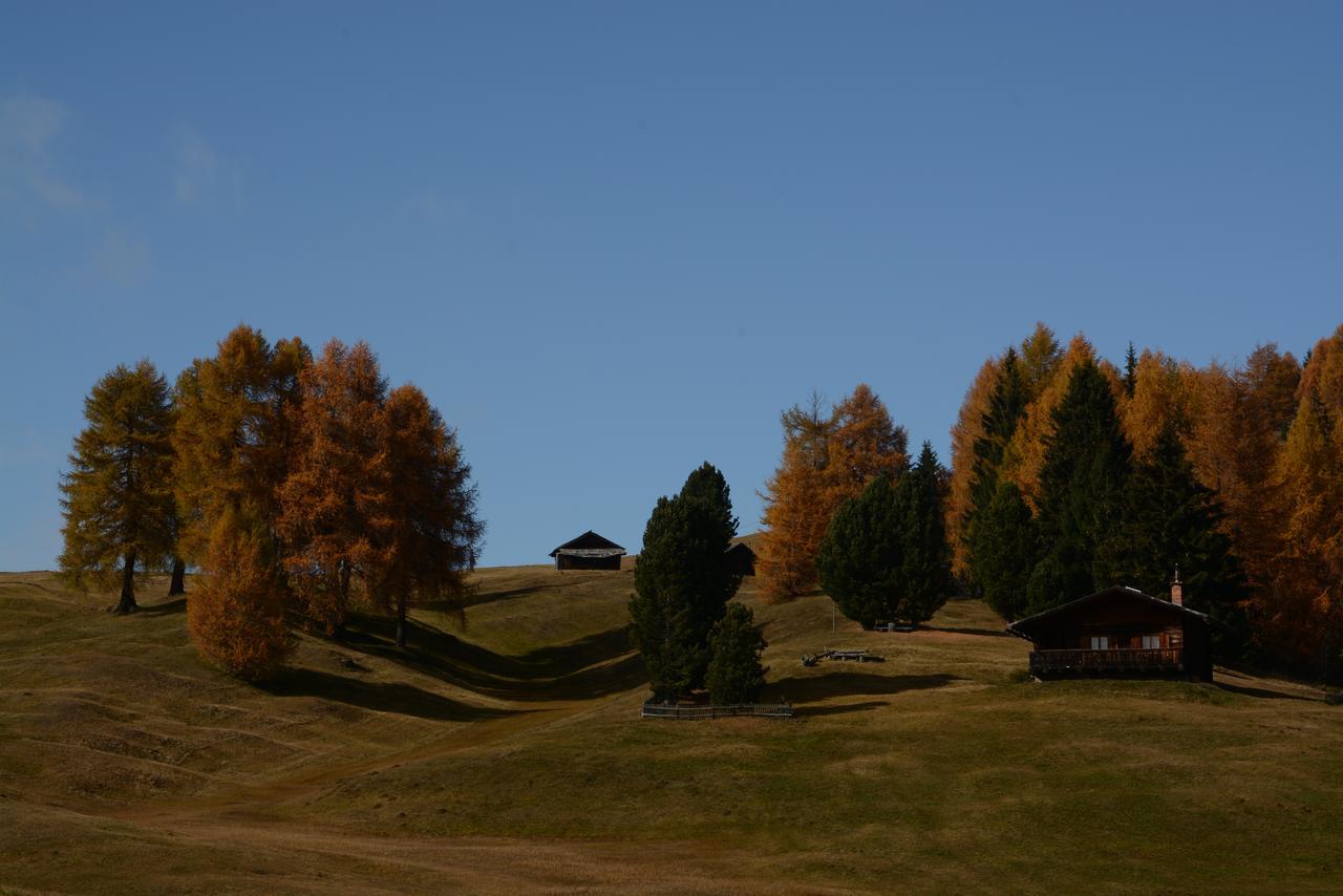 Dolomites B&B - Suites, Apartments And Spa Tesero Εξωτερικό φωτογραφία