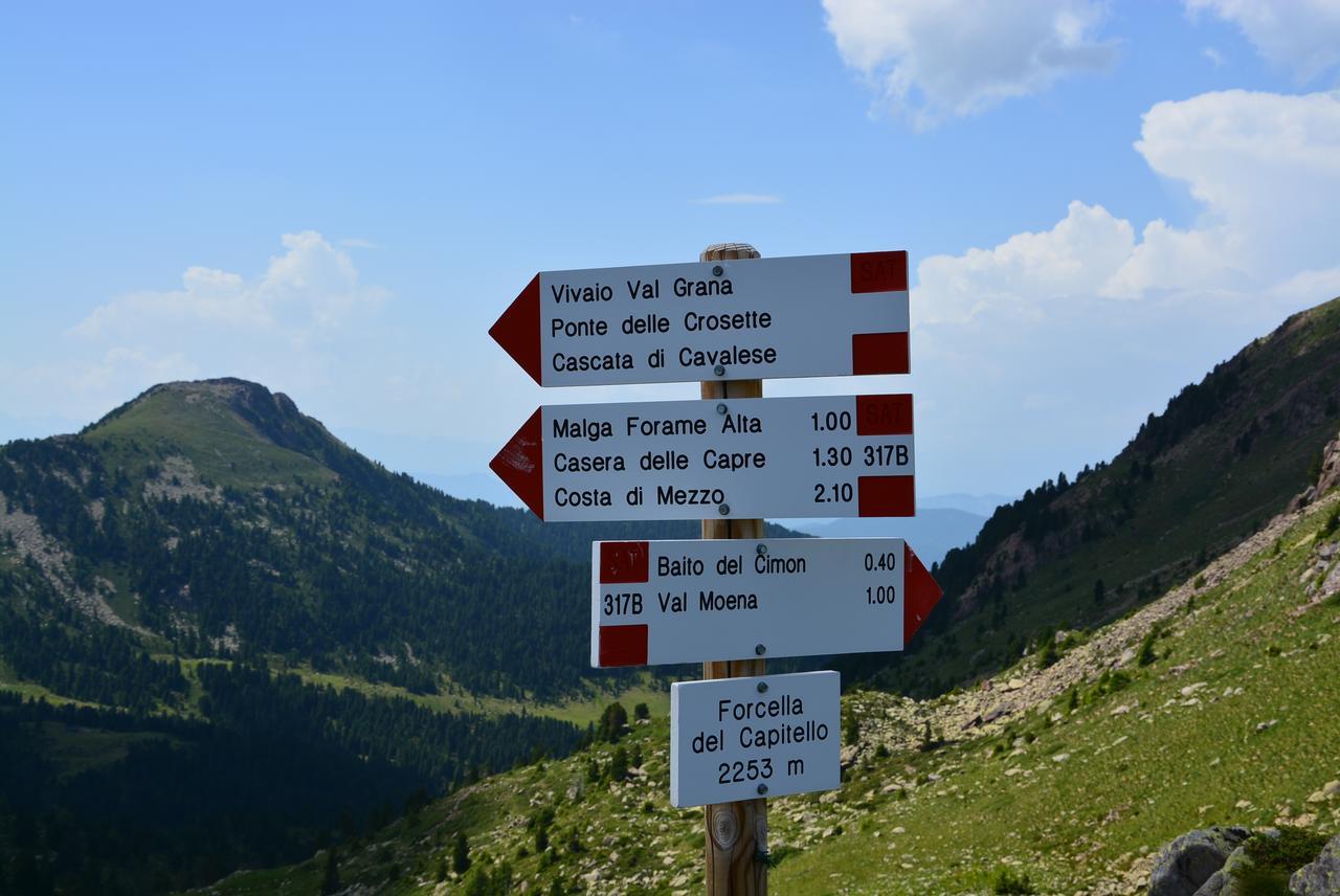 Dolomites B&B - Suites, Apartments And Spa Tesero Εξωτερικό φωτογραφία